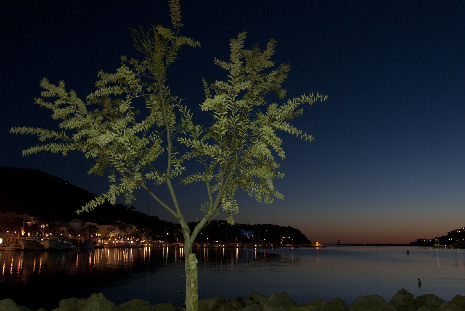 The harbour at Port d'Andratx at dusk, where Cappuccino has reopened its Grand Café