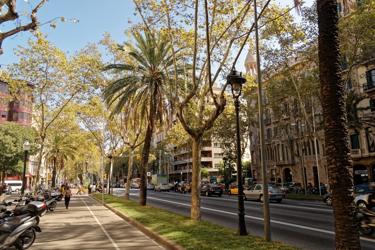 A tree-lined stretch of Avinguda Diagonal in Barcelona