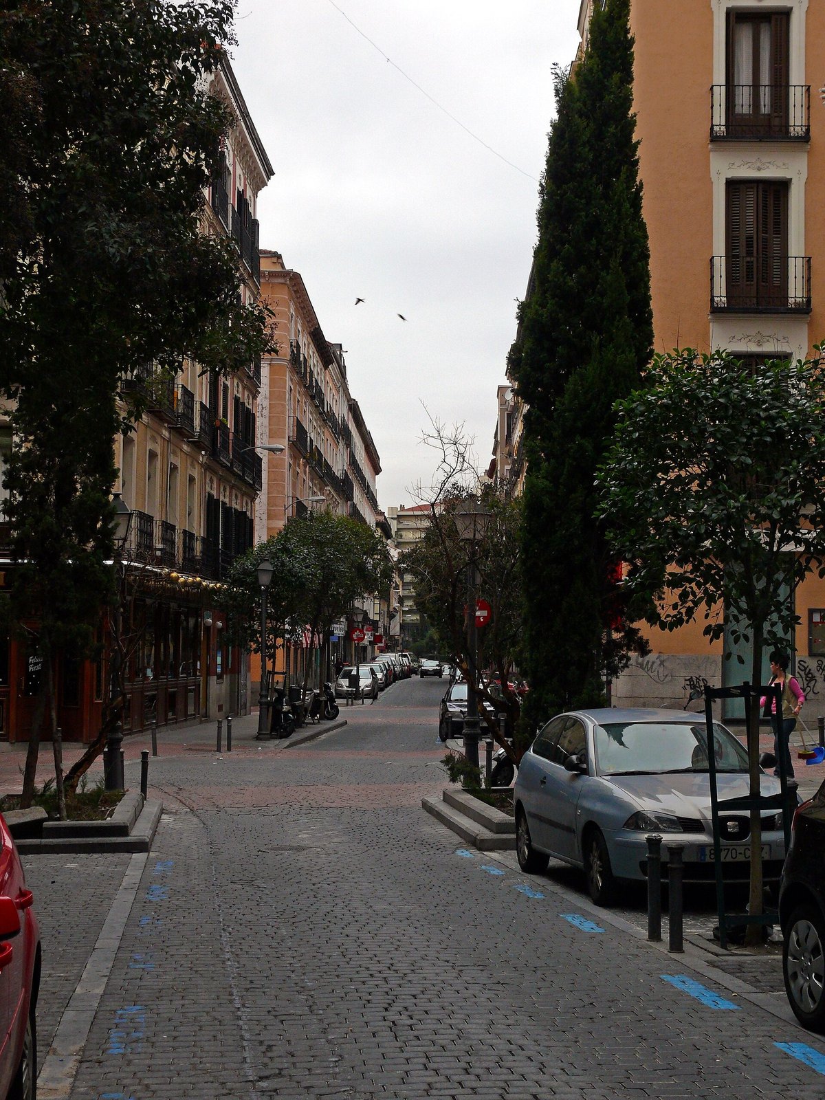 A narrow cobbled street in Malasaña with trees, parked cars and apartment buildings.
