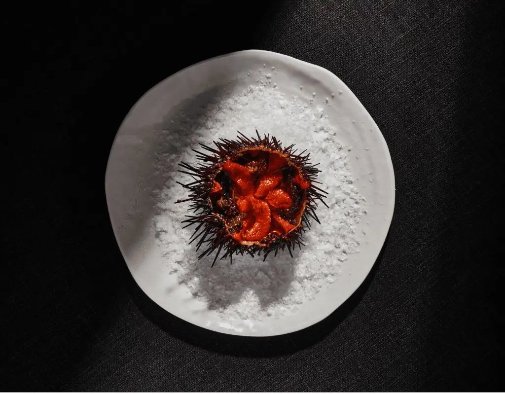 A sea urchin served on a white plate against a dark background.