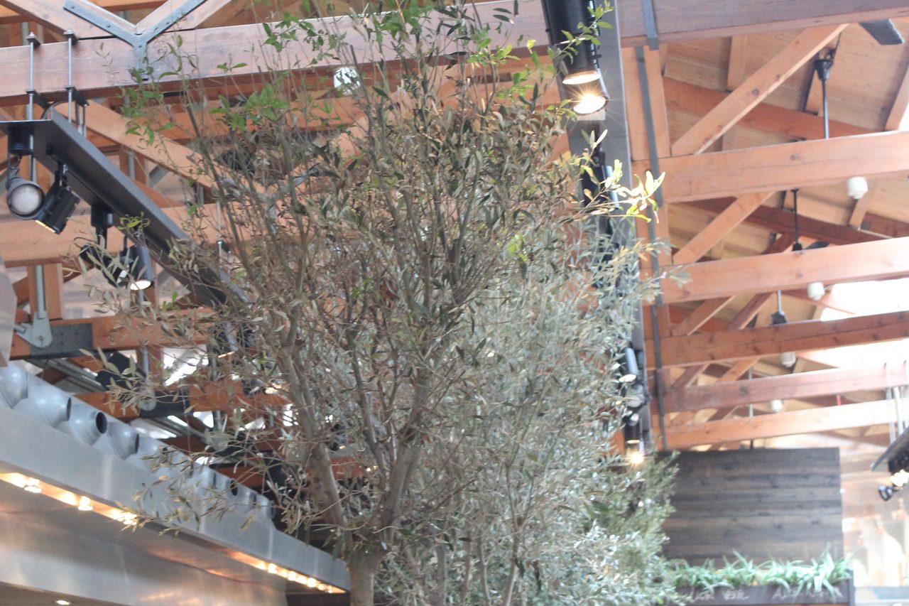 Inside Mercat de Santa Caterina, under its wooden roof