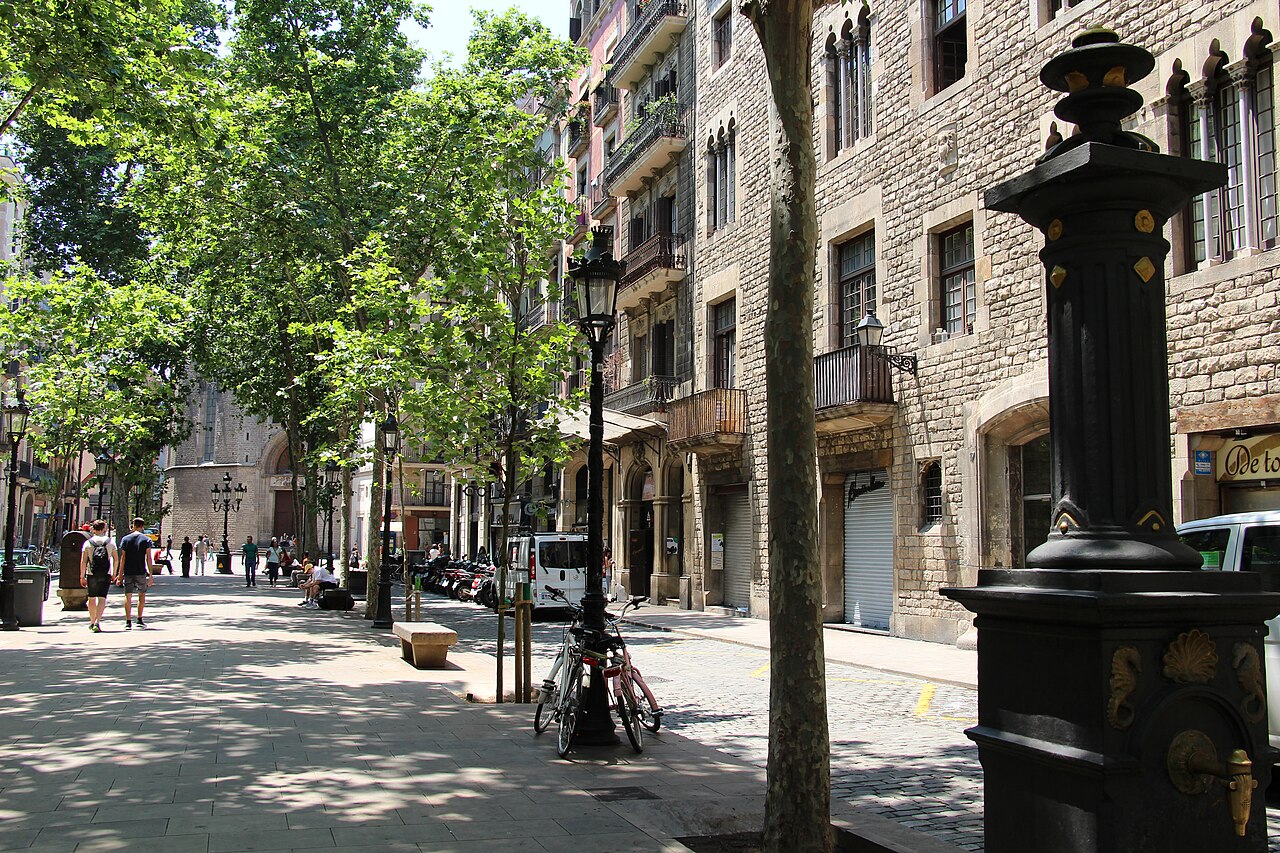 The tree-lined Passeig del Born promenade in Barcelona, with plane trees, wrought-iron lamp posts and stone buildings housing ground-floor bars and shops.